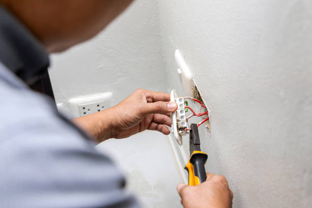 Best Home Electrical Repair  in Frederic, WI